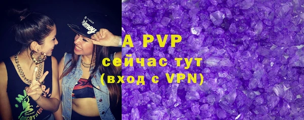 гашик Арсеньев