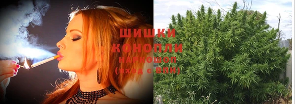 ГАЛЛЮЦИНОГЕННЫЕ ГРИБЫ Армянск