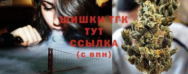 ешки Аркадак